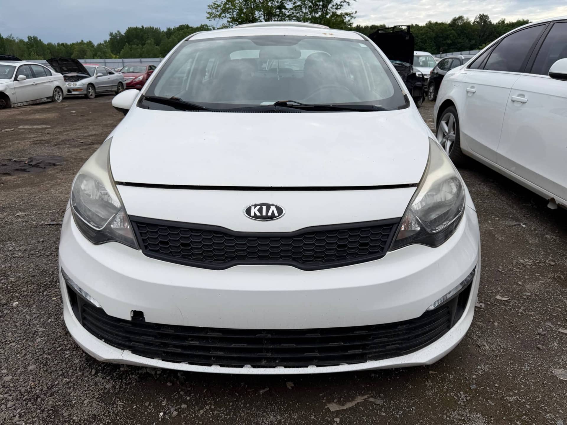 2016 Kia Rio