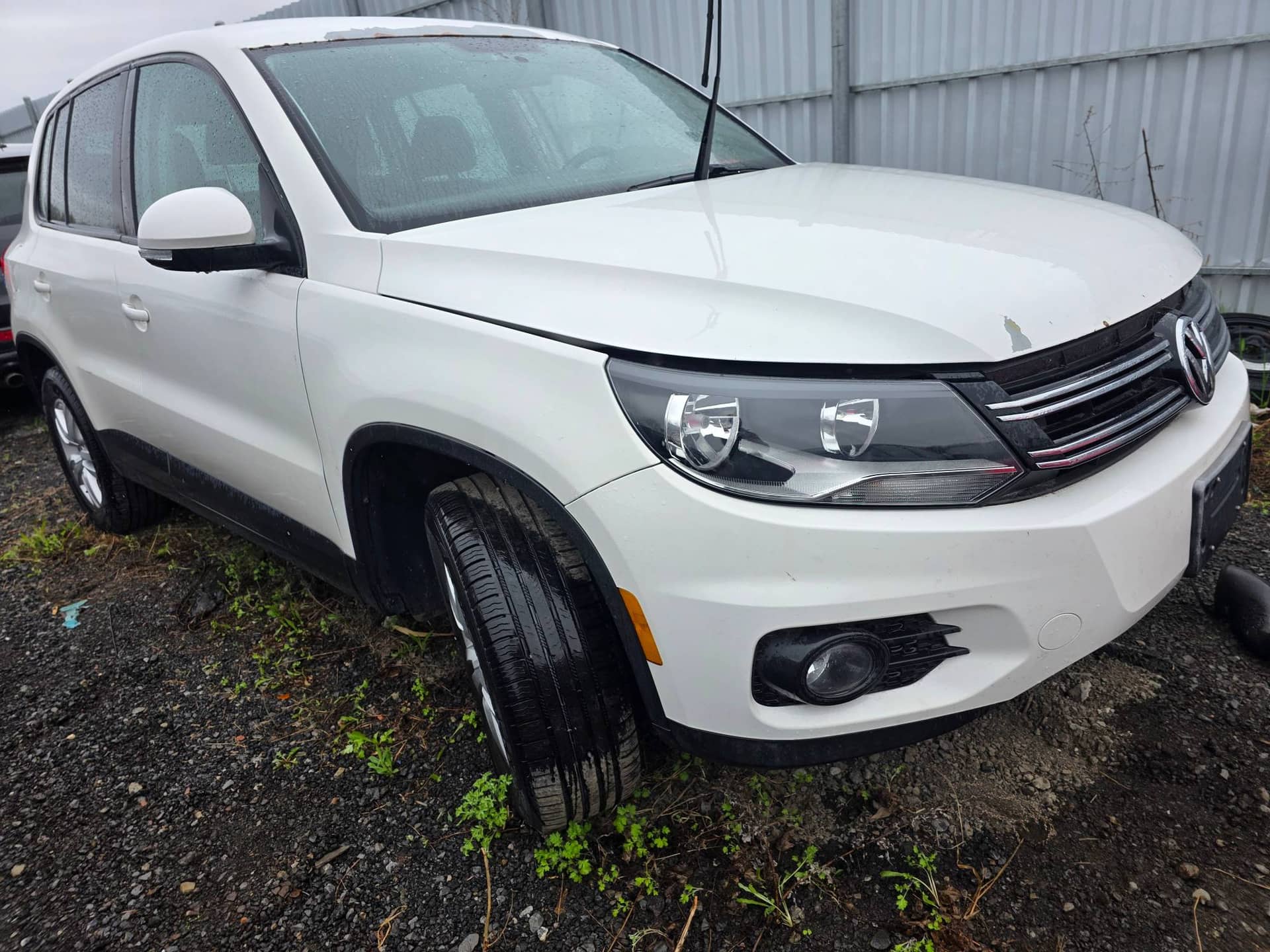 2013 Volkswagen Tiguan