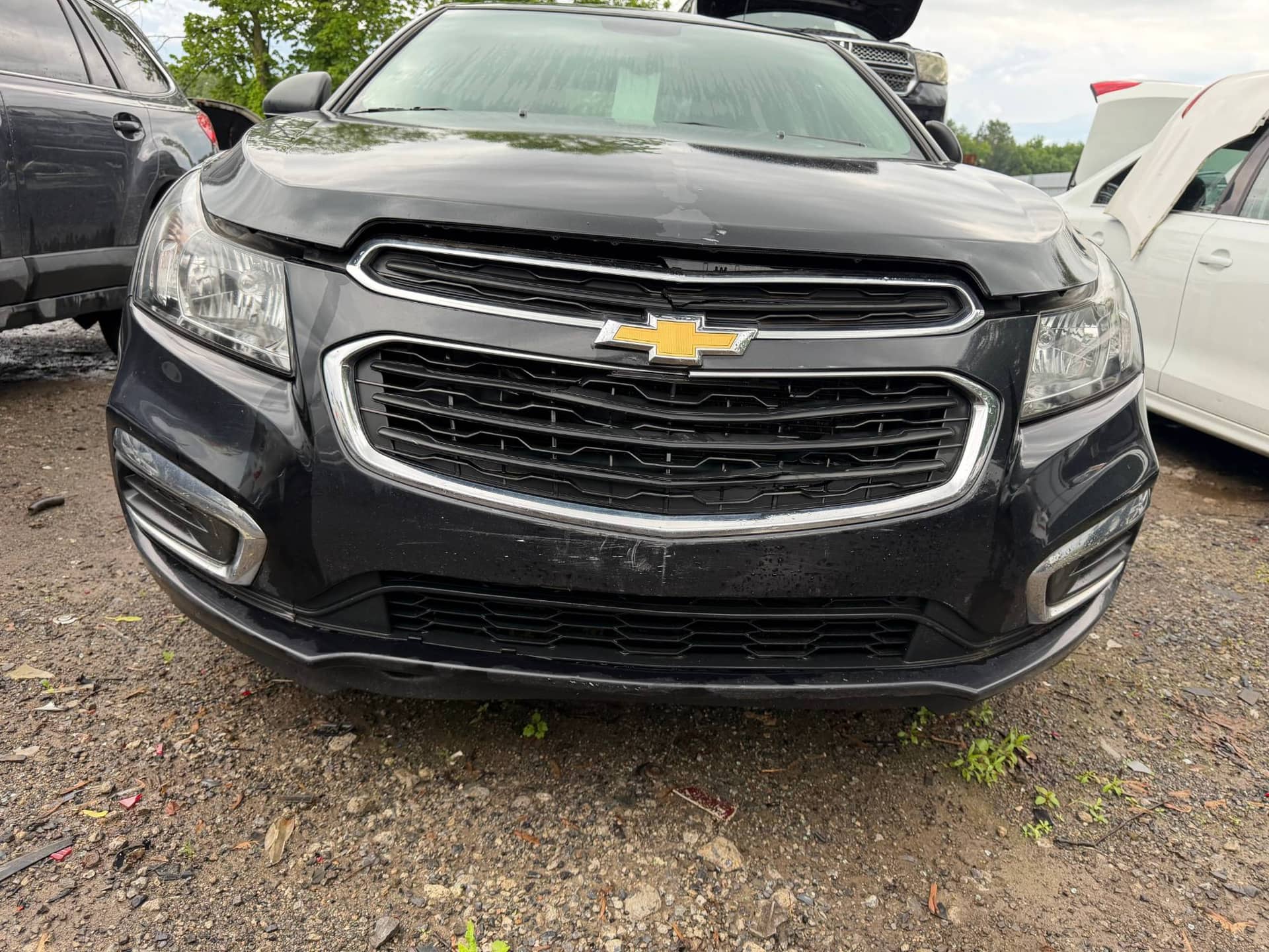 Front Bumper Assembly