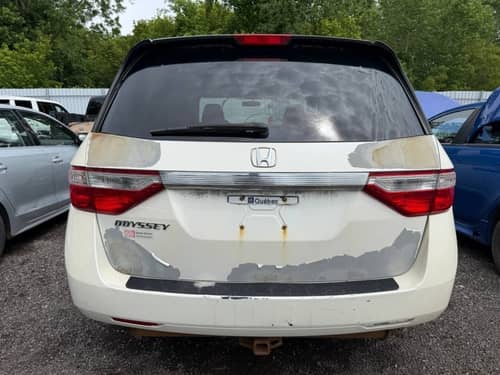 Rear Bumper Assembly