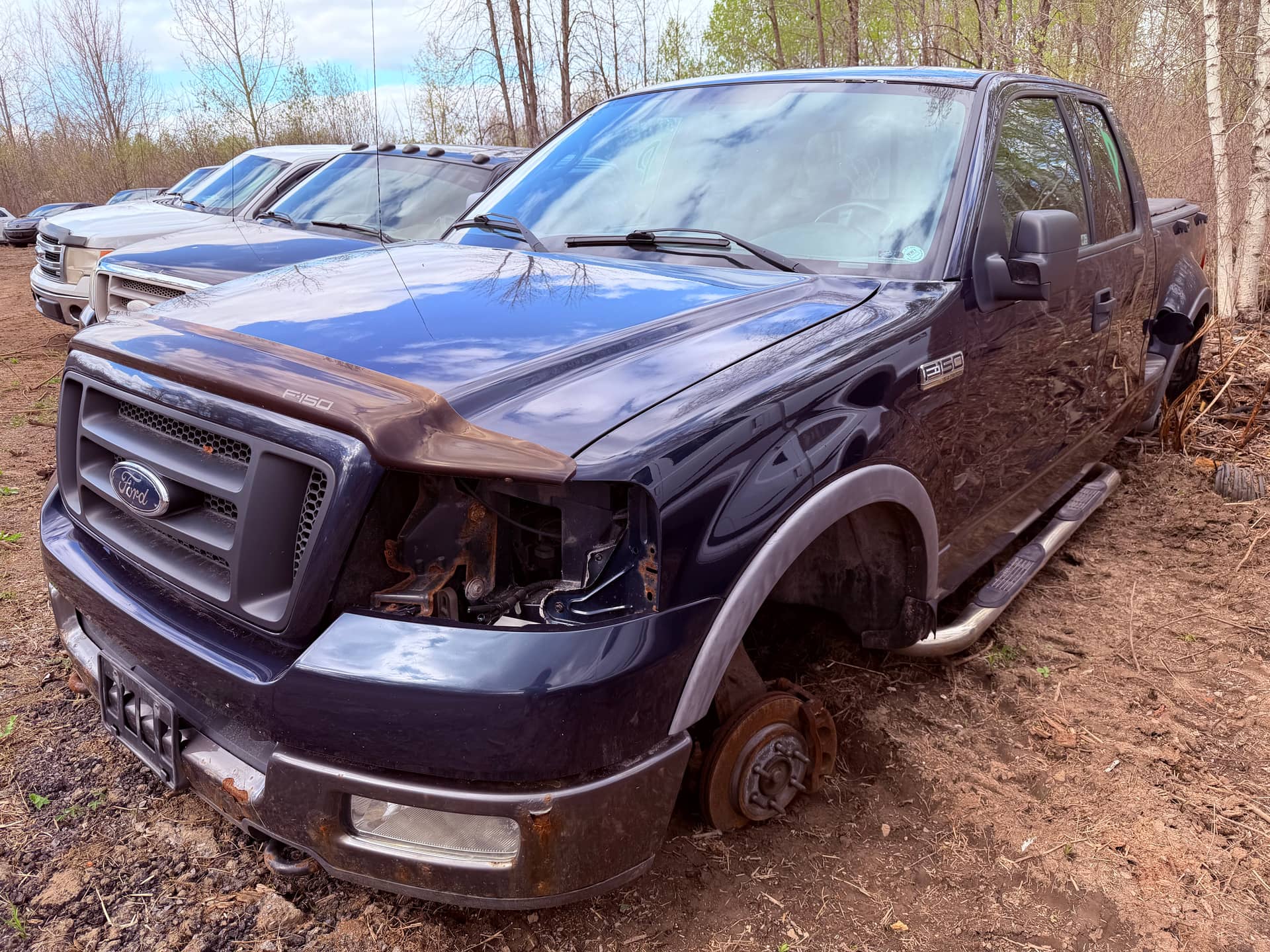2004 Ford F-150