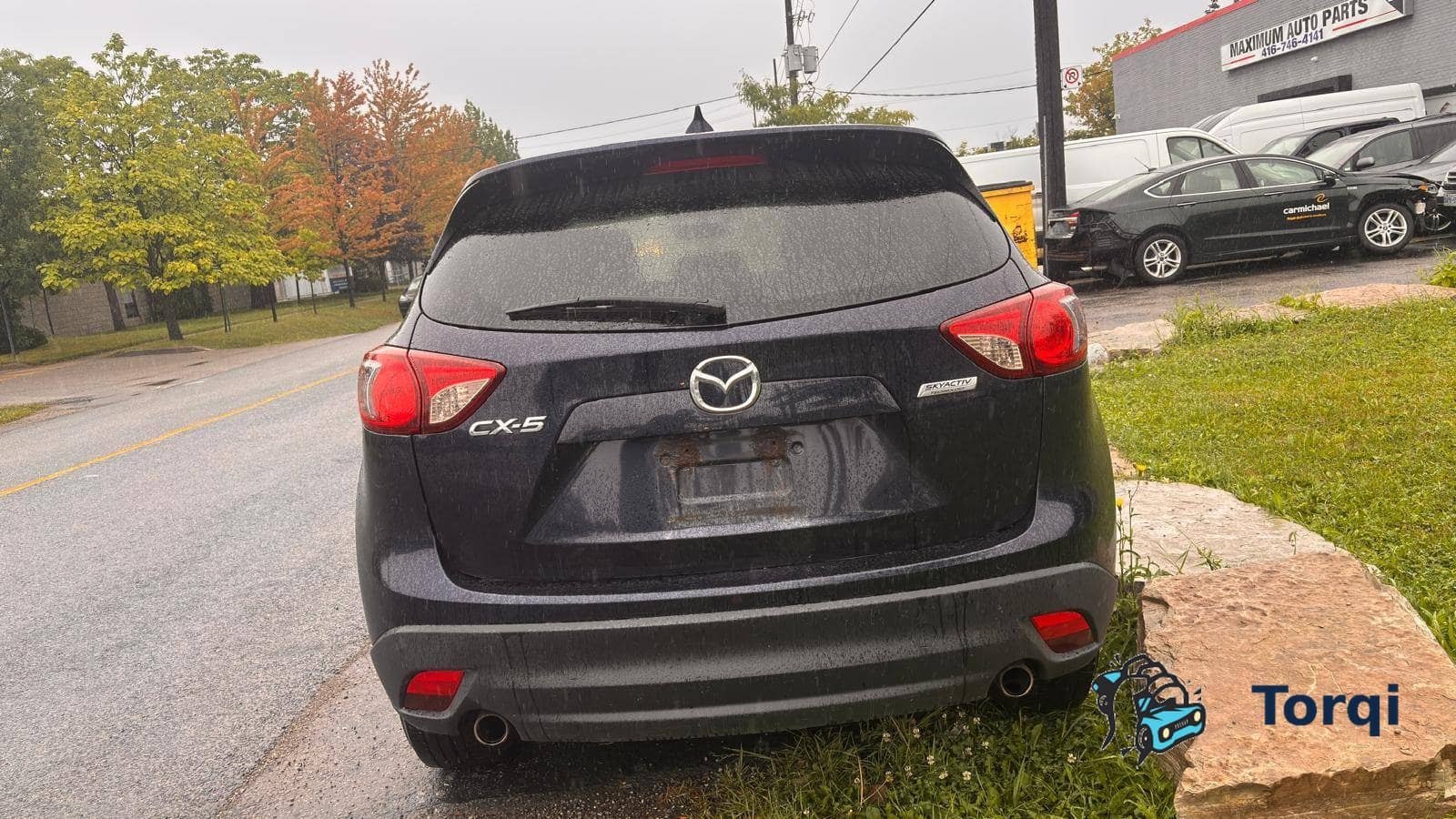 Tailgate Cables
