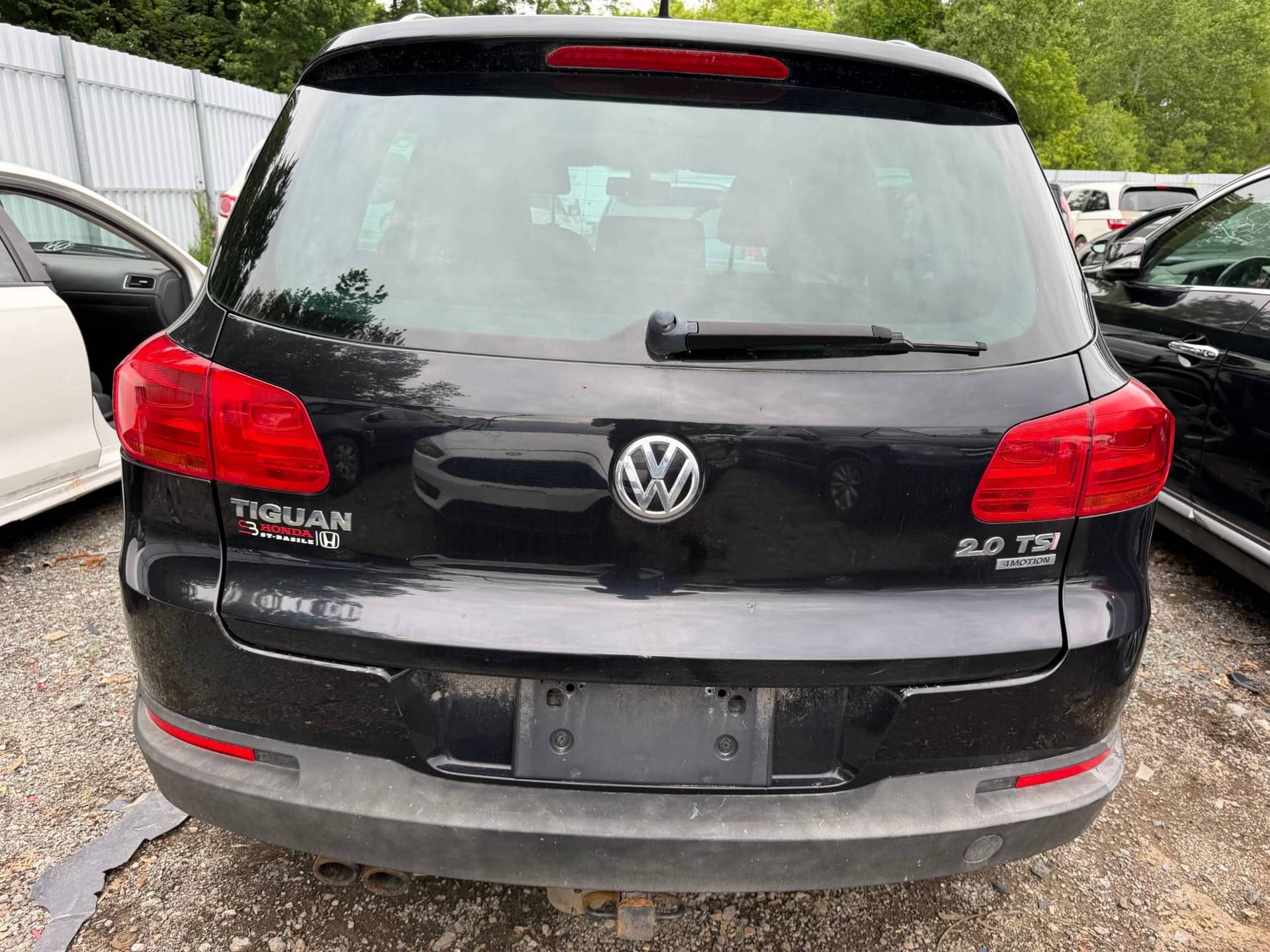 Rear Bumper Assembly